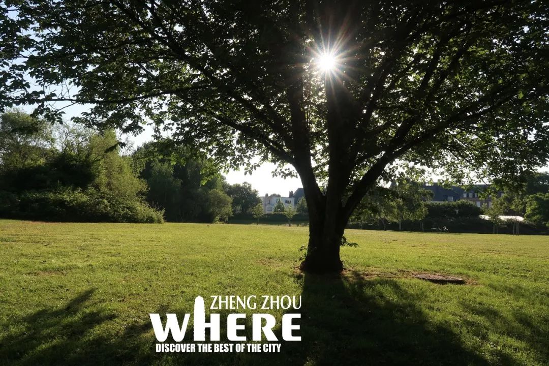 郑州到卢森堡的空中丝绸之路,中欧班列郑州到卢森堡