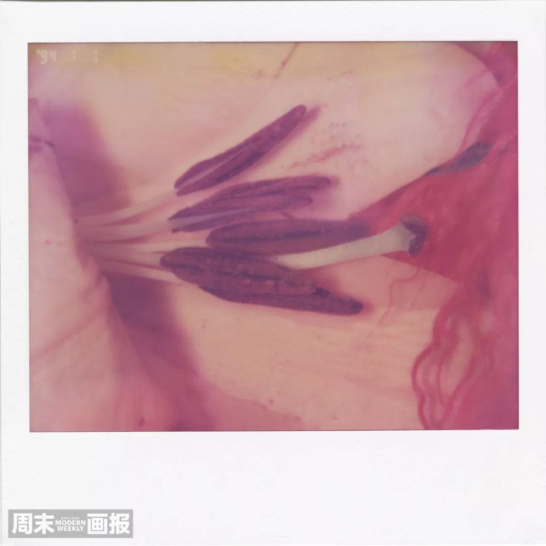 2021所有电视剧的cp,2022年剧集cp排行榜