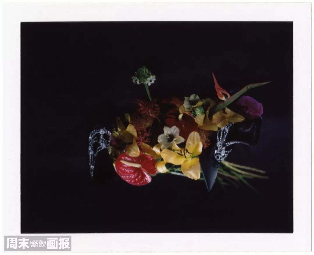 2021所有电视剧的cp,2022年剧集cp排行榜