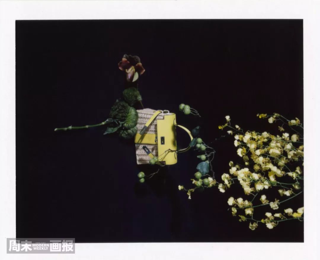 2021所有电视剧的cp,2022年剧集cp排行榜