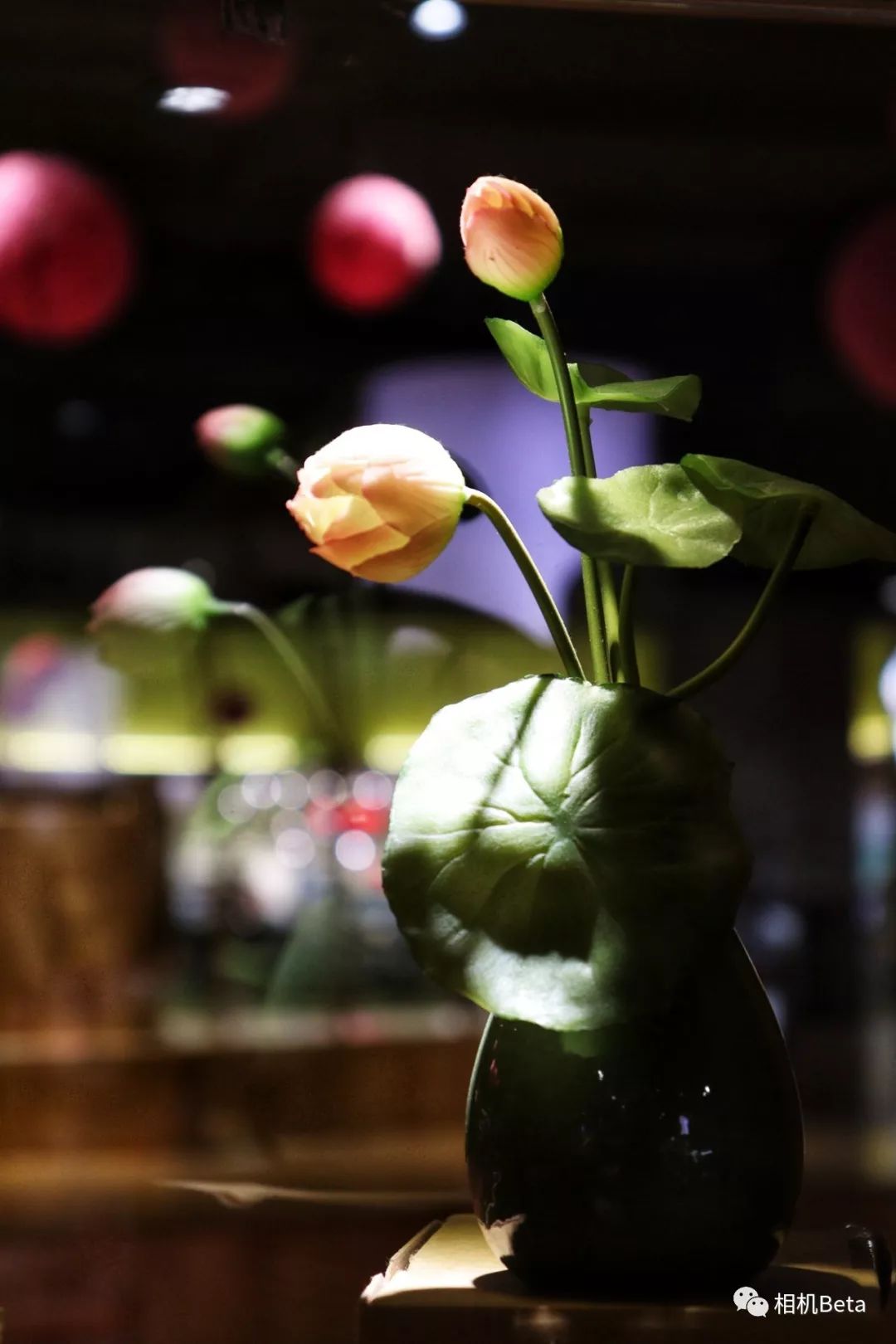 佳能EOS200DII值得入手吗,佳能eos200dii