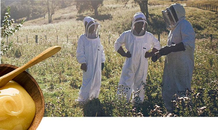 小编推荐丨缓解咳嗽、口臭,试试这个“千金方”!澳洲纯植物提取