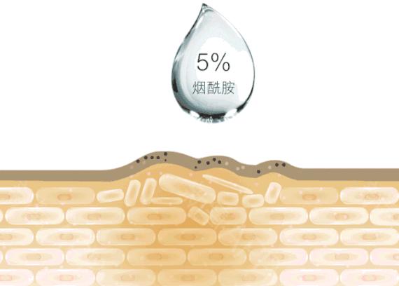 睡前一分钟做好这件事就能抗皱纹,最近比较火的淡化皱纹方法