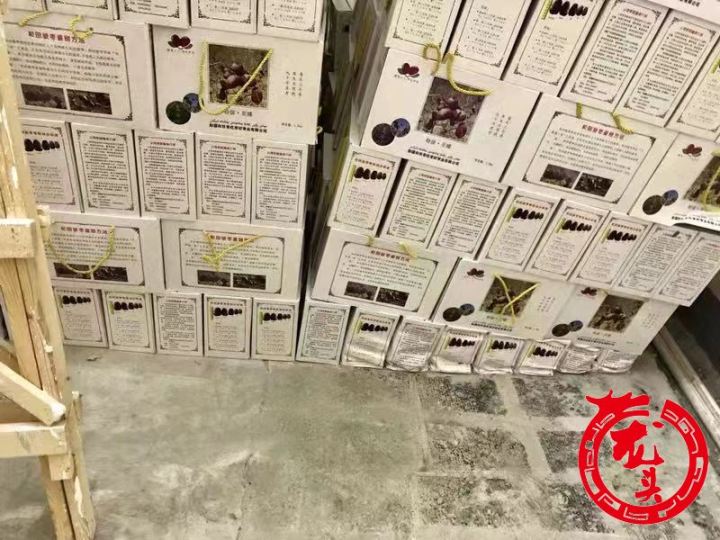 市民吴先生遇到闹心事：消防竖管漏水大枣被泡坏到底谁来赔？