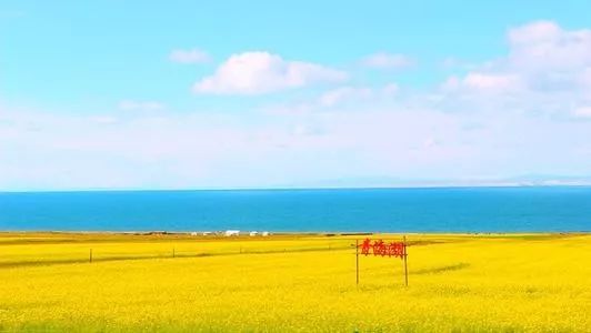 白菜价机票,白菜价特价机票