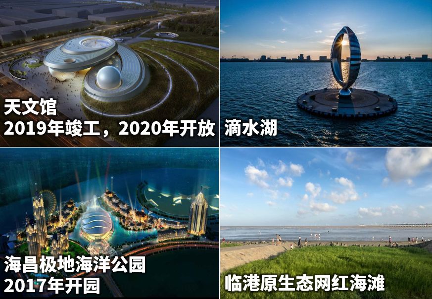 上海临港这波操作真牛：无人机巡查、交通仿真推演