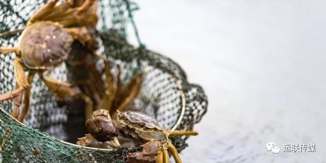 「运联研究」高端水果物流为什么独爱顺丰？