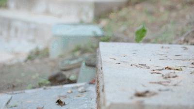 一双鞋竟装上28片“刀锋”弹簧？！穿上暴走跳跃，感觉能起飞了