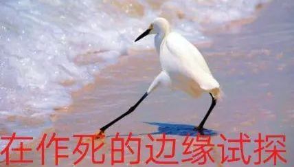 刘飞儿酒店直播,洗完头直播间没了?