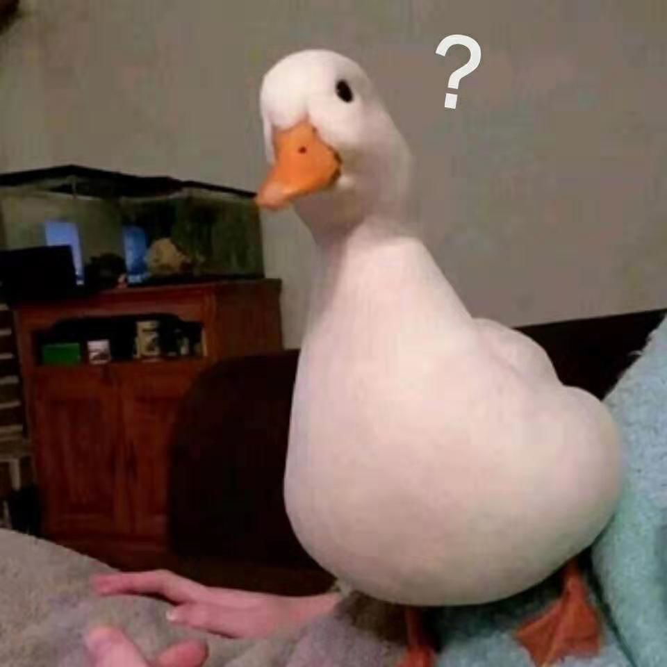 发钱啦!不限户籍!最高8.8万!驻马店这些人可以领到这笔钱!