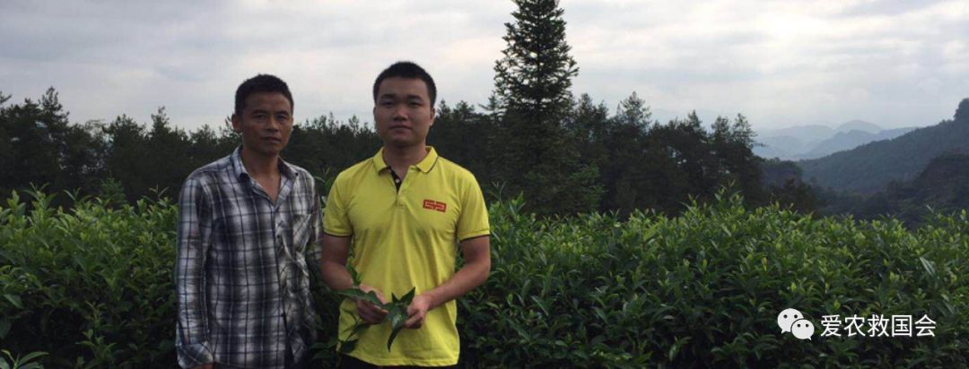 宀╄尪鍒惰尪鏁欏,鍒惰尪宸ヨ壓涓庤尪鏂囧寲