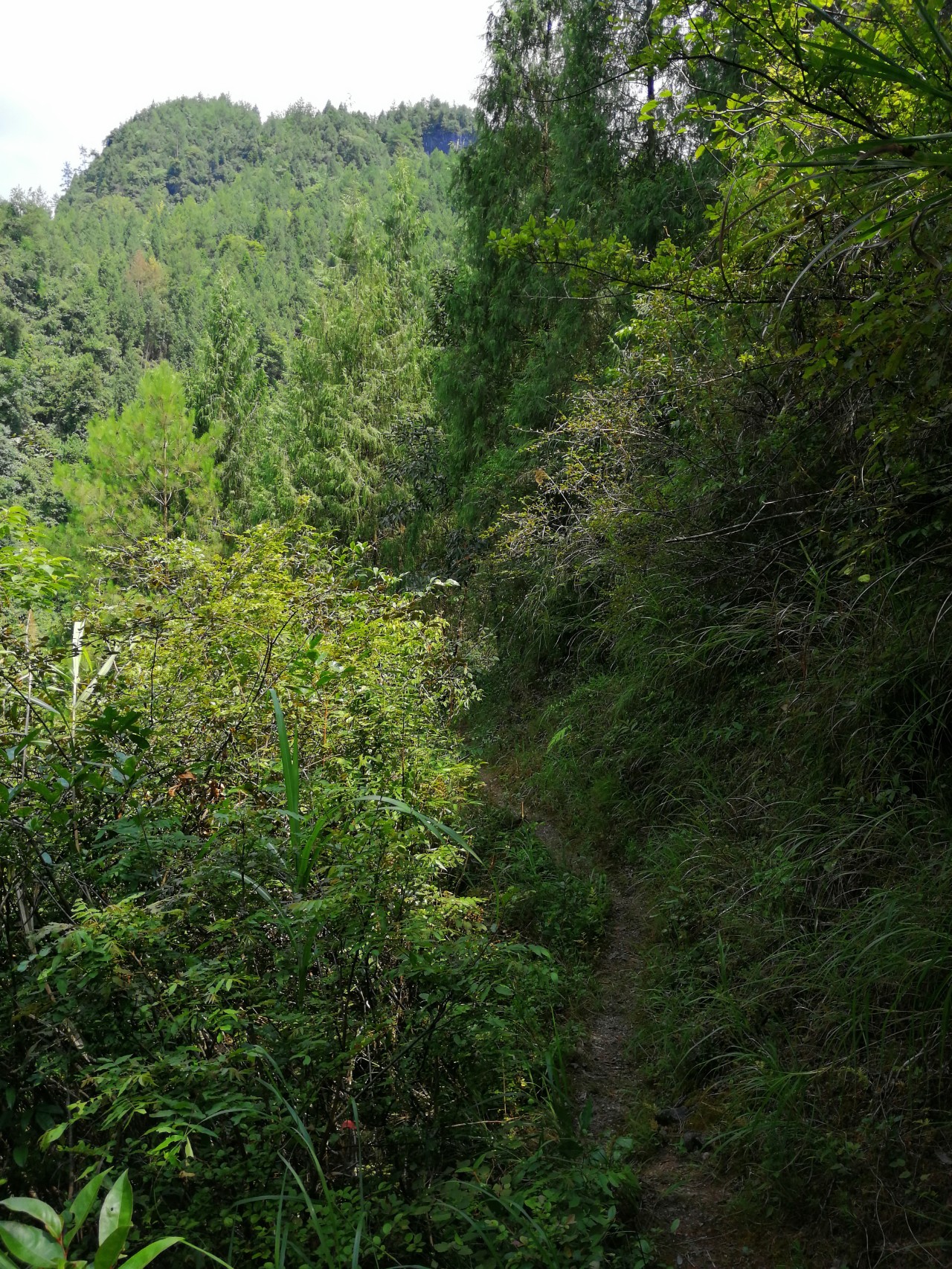 冷饭剩菜不为奇，百里奔袭只为快乐而渔