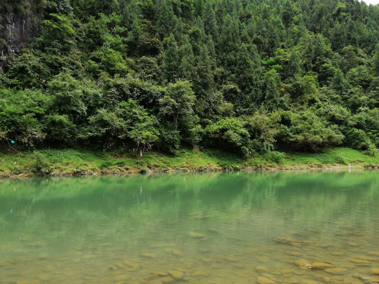 冷饭剩菜不为奇，百里奔袭只为快乐而渔