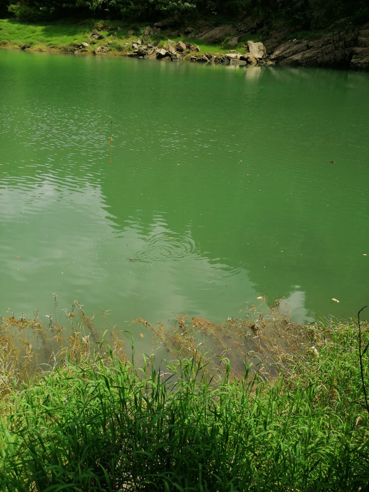 冷饭剩菜不为奇，百里奔袭只为快乐而渔