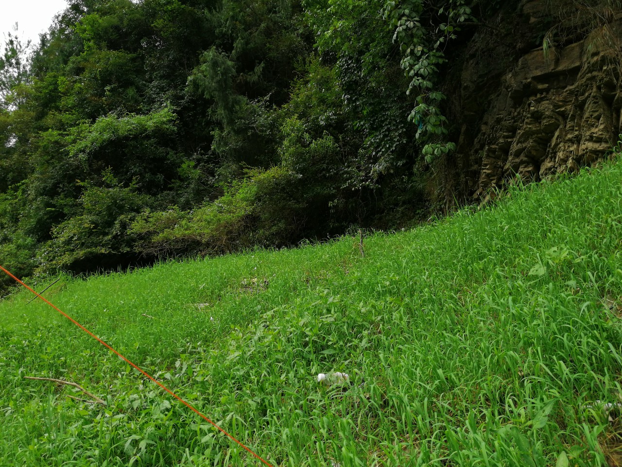 冷饭剩菜不为奇，百里奔袭只为快乐而渔