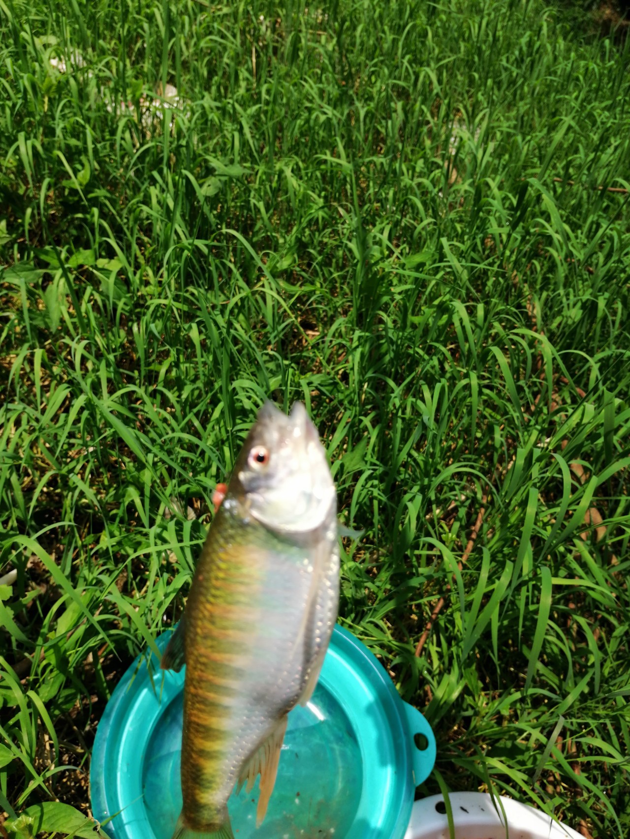 冷饭剩菜不为奇，百里奔袭只为快乐而渔