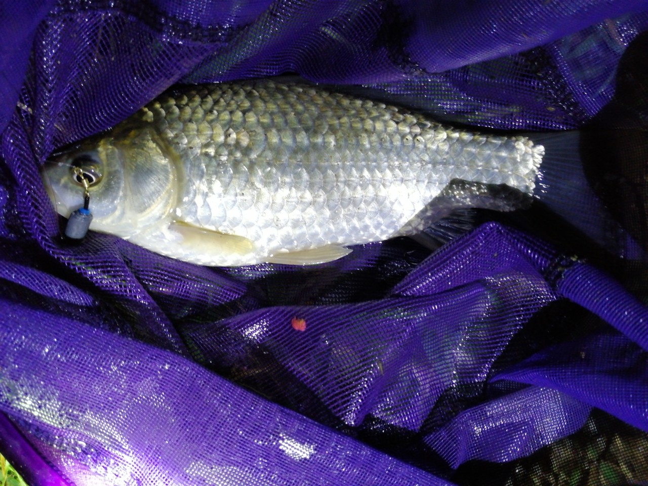 冷饭剩菜不为奇，百里奔袭只为快乐而渔