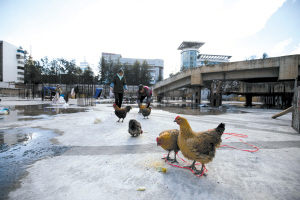 私分国有资产罪判决案例,私分国有资产罪罗翔