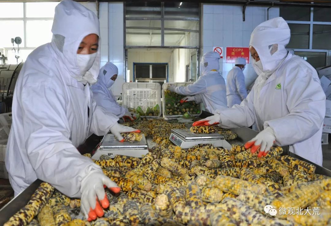 百姓舌尖上的安全，北大荒人用实际行动守护！