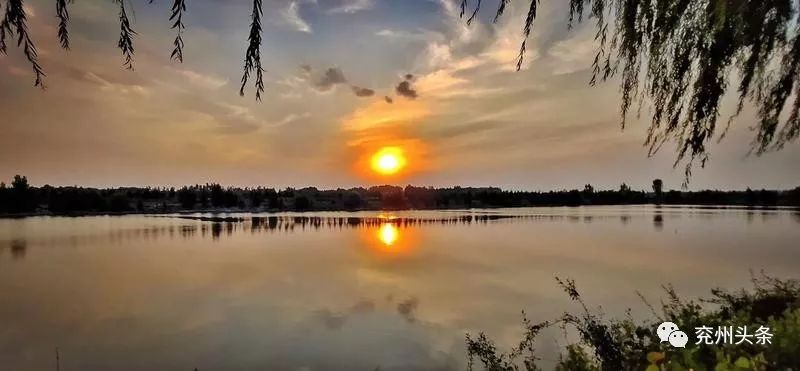 水塘成方，鱼翔浅底！看兖州塌陷地上的乡村振兴