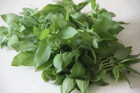 足癣湿疹用什么药膏最有效,皮炎湿疹足癣