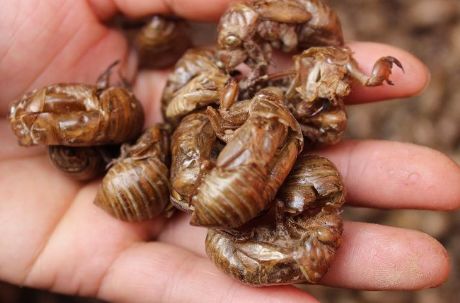 足癣湿疹用什么药膏最有效,皮炎湿疹足癣