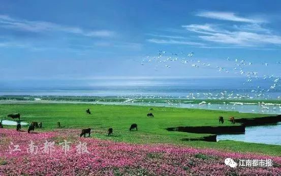 赣州入选大湾区,赣州国家专项名单