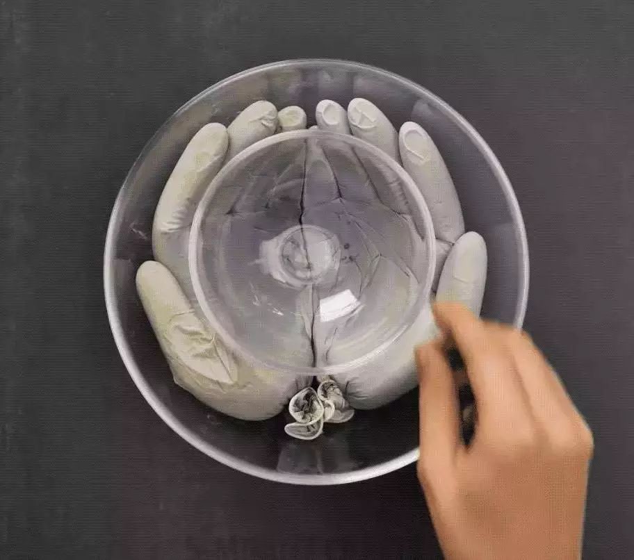 两块钱的水泥做出50元的效果,水泥全是绿色可以做什么