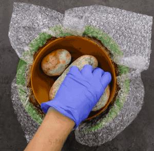 两块钱的水泥做出50元的效果,水泥全是绿色可以做什么