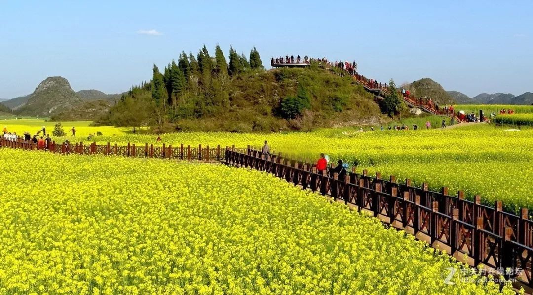 曲靖全国十大宜居城市第一,曲靖荣获多少次全国十大宜居城市