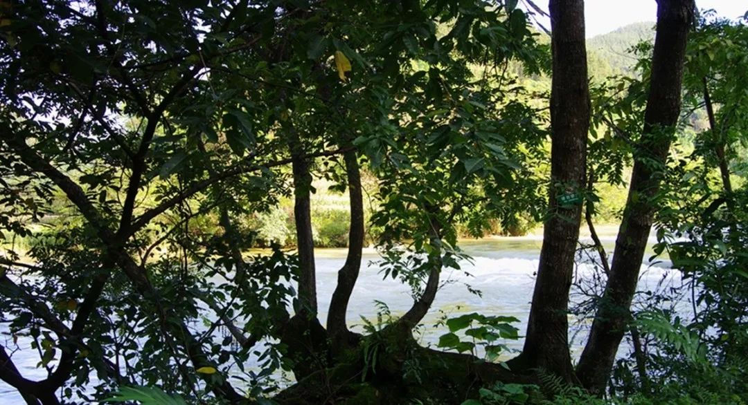 曲靖全国十大宜居城市第一,曲靖荣获多少次全国十大宜居城市