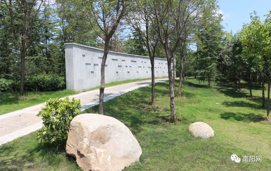 南阳腾飞,南阳飞速发展视频