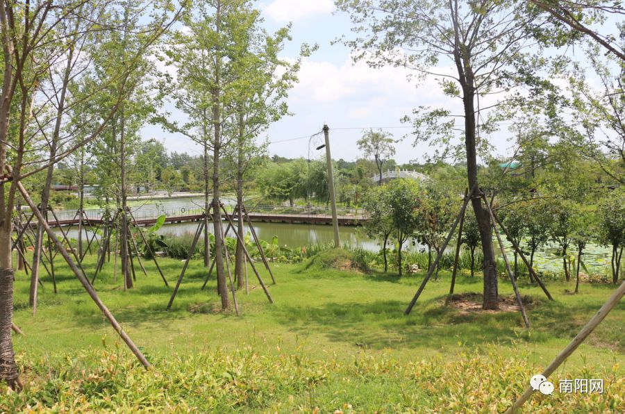 南阳腾飞,南阳飞速发展视频