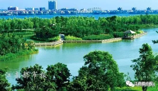 赣州入选大湾区,赣州国家专项名单