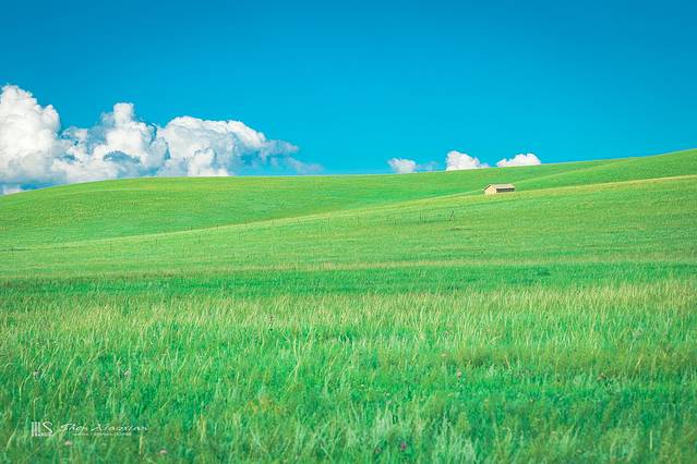 锡林郭勒冬季风光,锡林郭勒的夏天