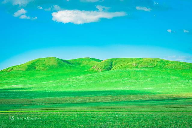 锡林郭勒冬季风光,锡林郭勒的夏天