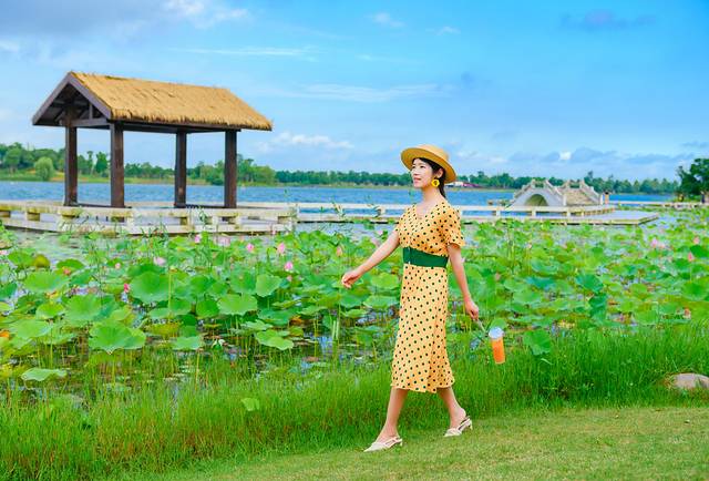 锡林郭勒冬季风光,锡林郭勒的夏天