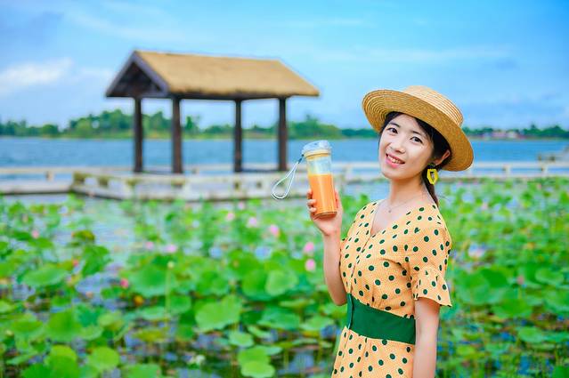 锡林郭勒冬季风光,锡林郭勒的夏天