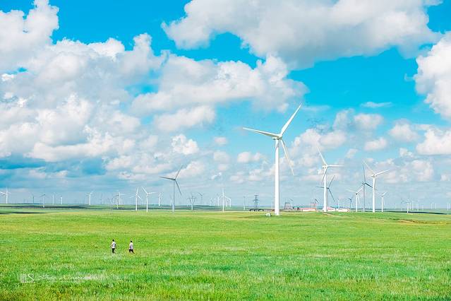 锡林郭勒冬季风光,锡林郭勒的夏天