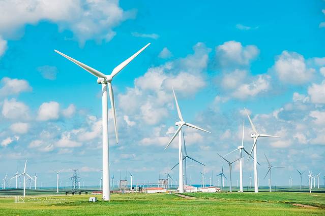 锡林郭勒冬季风光,锡林郭勒的夏天