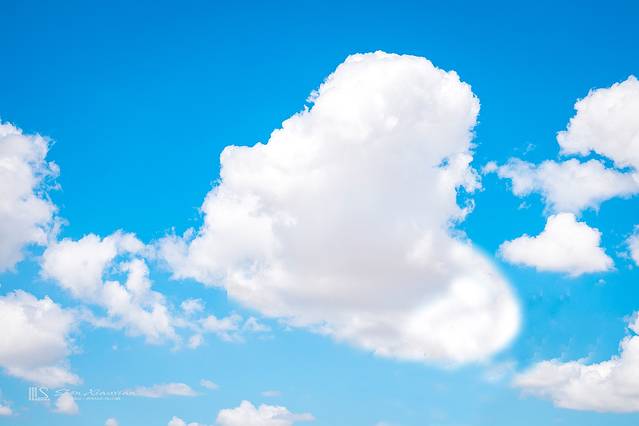 锡林郭勒冬季风光,锡林郭勒的夏天