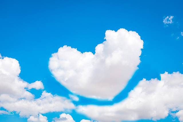 锡林郭勒冬季风光,锡林郭勒的夏天