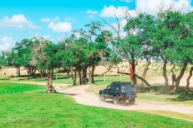 锡林郭勒冬季风光,锡林郭勒的夏天