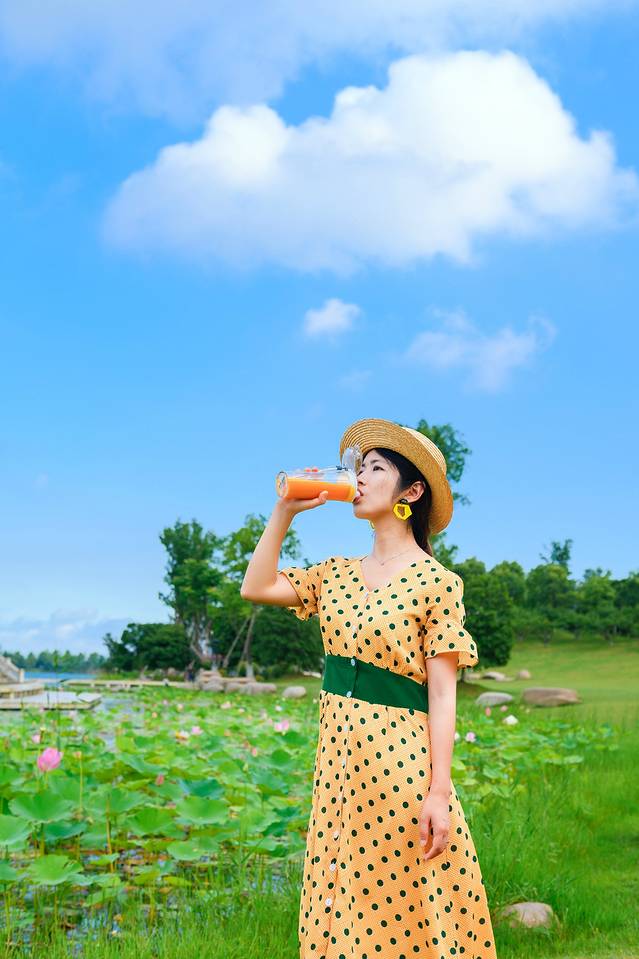 锡林郭勒冬季风光,锡林郭勒的夏天