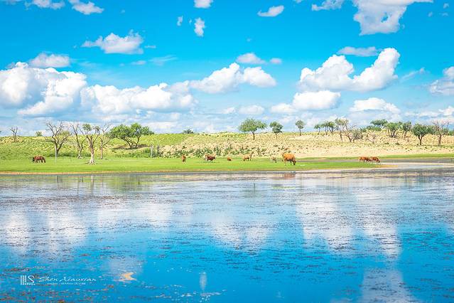 锡林郭勒冬季风光,锡林郭勒的夏天