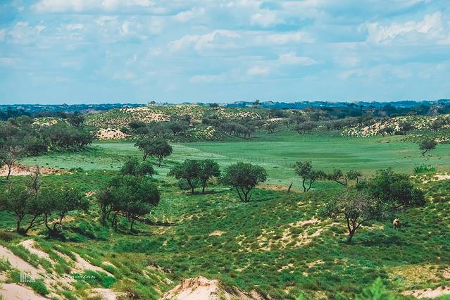锡林郭勒冬季风光,锡林郭勒的夏天