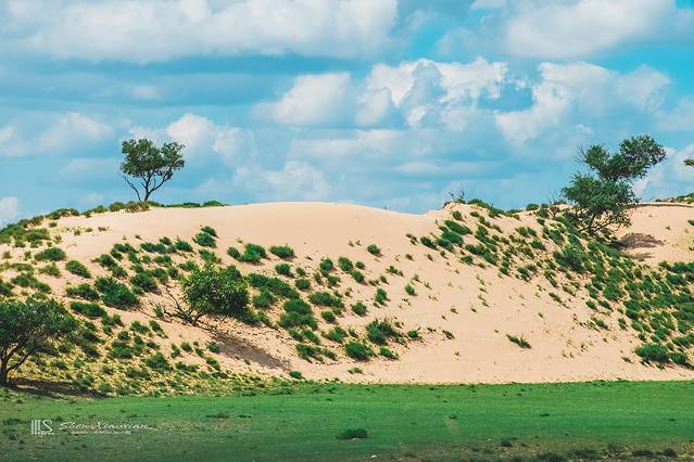 锡林郭勒冬季风光,锡林郭勒的夏天