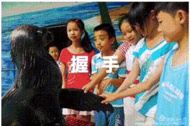 宁都弘铭源生态农庄团购门票,宁都弘铭源生态农庄门票多少