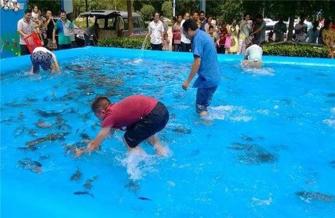 宁都弘铭源生态农庄团购门票,宁都弘铭源生态农庄门票多少