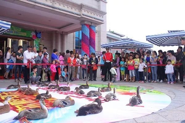 宁都弘铭源生态农庄团购门票,宁都弘铭源生态农庄门票多少